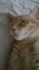 IMG-20240513-WA0187