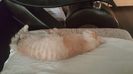IMG-20240513-WA0186