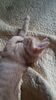 IMG-20240513-WA0185