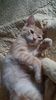 IMG-20240513-WA0184