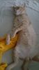 IMG-20240513-WA0188