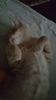 IMG-20240513-WA0189