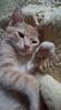 IMG-20240513-WA0190