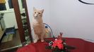IMG-20240513-WA0215