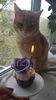 IMG-20240513-WA0199