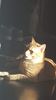 IMG-20240513-WA0198