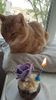 IMG-20240513-WA0197