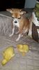 IMG-20240507-WA0001