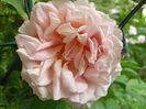 Abraham Darby