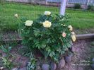 Img.2024.05.14