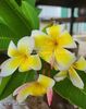 received_421694140721557