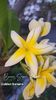 received_760142362892642