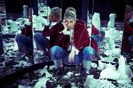 bts (5)