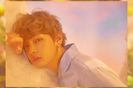 bts (10)