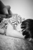 bts (12)