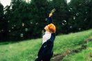 bts (26)