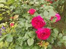 IMG20240523091646