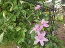 IMG20240523091627