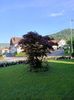 Img.2024.05.19