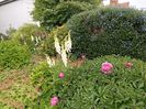 Img.2024.05.23-Otterndorf