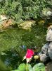 WhatsApp Image 2024-05-25 at 11.36.11_bb523f44