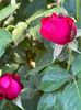 WhatsApp Image 2024-05-25 at 11.37.11_900fdf32