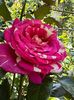 WhatsApp Image 2024-05-25 at 11.37.47_6aabb507