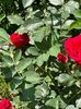 WhatsApp Image 2024-05-25 at 11.37.47_641a6171