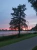 Img.2024.05.21