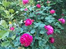IMG20240525195824