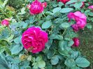 IMG20240525195809