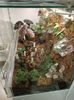 IMG20240527175639