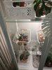 IMG20240527161250