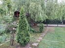 IMG20240529124111