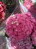 Img.2024.05.30