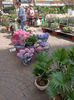 Img.2024.05.30