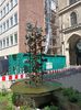 Img.2024.05.30