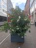 Img.2024.05.30