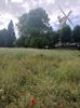 Img.2024.05.30