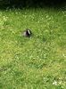 Img.2024.05.30