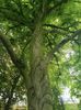 Img.2024.05.30