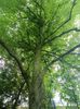 Img.2024.05.30