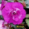Img.2024.06.02
