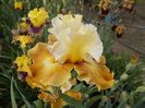 z-r8,9- -GENEALOGY-18lei