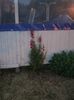 Img.2023.06.09
