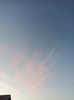 Img.2023.06.09