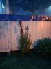 Img.2023.06.08
