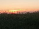 Img.2023.06.08
