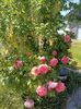 Img.2023.06.08