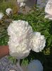 Img.2023.06.08